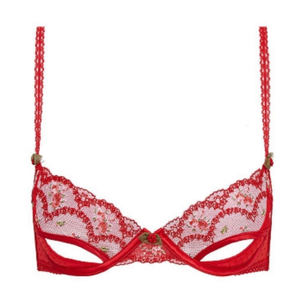 Rouge Bralette For Love and Lemons